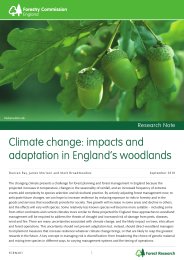 Climate change - impacts and adaptation in England's woodlands