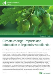 Climate change - impacts and adaptation in England's woodlands