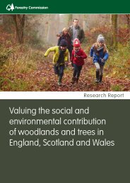 Valuing the social and environmental contribution of woodlands and trees in England, Scotland and Wales