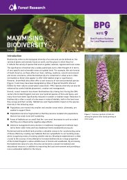 Maximising biodiversity