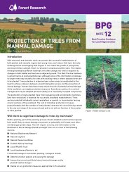 Protection of trees from mammal damage
