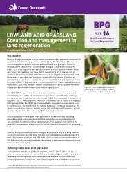 Lowland acid grassland - creation and management in land regeneration