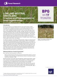 Lowland neutral grassland - creation and management in land regeneration