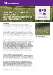 Lowland calcareous grassland - creation and management in land regeneration