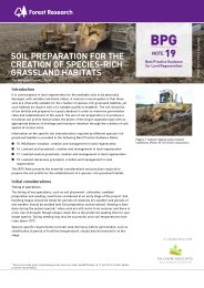 Soil preparation for the creation of species-rich grassland habitats