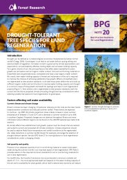 Drought-tolerant tree species for land regeneration
