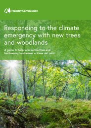 Responding to the climate emergency with new trees and woodlands - a guide to help local authorities and landowning businesses achieve net zero