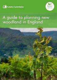 Guide to planning new woodland in England