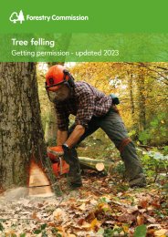 Tree felling: getting permission - updated 2023