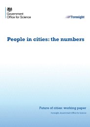 People in cities: the numbers. Future of cities: working paper