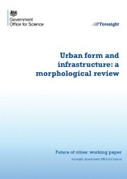 Urban form and infrastructure: a morphological review. Future of cities: working paper