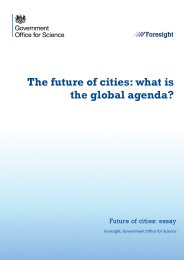 Future of cities: what is the global agenda? Future of cities: essay