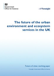 Future of the urban environment and ecosystem services in the UK. Future of cities: working paper