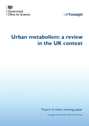 Urban metabolism: a review in the UK context. Future of cities: working paper