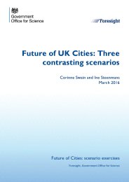 Future of cities: three contrasting scenarios. Future of cities: scenario exercises