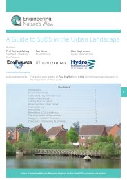 Guide to SuDS in the urban landscape