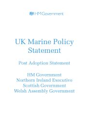 UK marine policy statement - post adoption statement