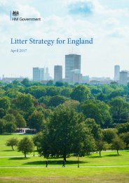 Litter strategy for England