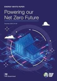 Energy white paper. Powering our net zero future