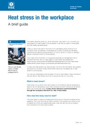Heat stress in the workplace. A brief guide