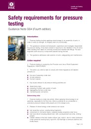 Safety requirements for pressure testing. 4th edition