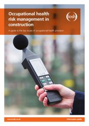 Occupational health risk management in construction. A guide to the key issues of occupational health provision