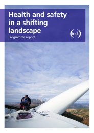 Health and safety in a shifting landscape. Programme report