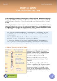 Electrical safety - electricity and the law