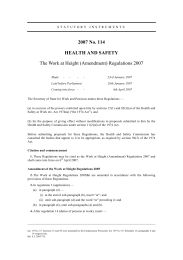 Work at Height (Amendment) Regulations 2007