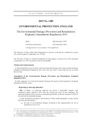 Environmental Damage (Prevention and Remediation) (England) (Amendment) Regulations 2019