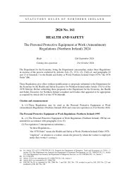 Personal Protective Equipment at Work (Amendment) Regulations (Northern Ireland) 2024