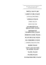 Environment, Planning and Rural Affairs (Miscellaneous Amendments) (Wales) Regulations 2018