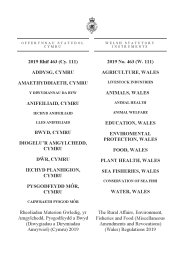 Rural Affairs, Environment, Fisheries and Food (Miscellaneous Amendments and Revocations) (Wales) Regulations 2019. (W.111)