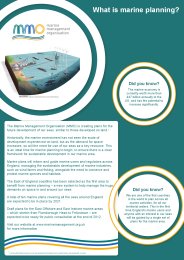 What is marine planning?