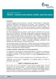 REACH - Cement and cement clinker (and flue dust)