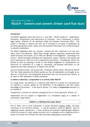 REACH - Cement and cement clinker (and flue dust)