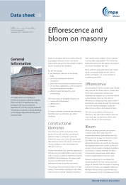 Efflorescence and bloom on masonry. Issue 6