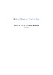 How to do it: a natural capital workbook. Version 1