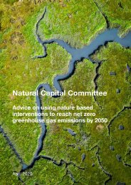 Advice on using nature based interventions to reach net zero greenhouse gas emissions by 2050