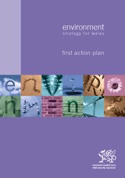 Environment strategy for Wales - first action plan