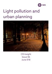 Light pollution and urban planning