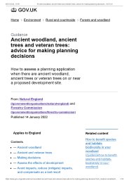 Ancient woodland, ancient trees and veteran trees: advice for making planning decisions