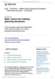 Bats: advice for making planning decisions