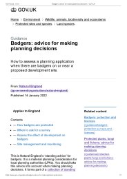 Badgers: advice for making planning decisions
