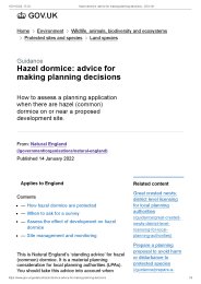 Hazel dormice: advice for making planning decisions