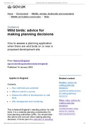 Wild birds: advice for making planning decisions