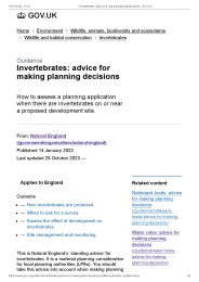 Invertebrates: advice for making planning decisions