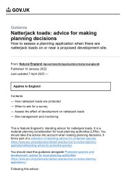 Natterjack toads: advice for making planning decisions
