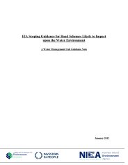 EIA scoping guidance for road schemes likely to impact upon the water environment. A water management unit guidance note