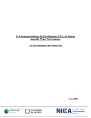 EIA scoping guidance for developments likely to impact upon the water environment. A water management unit guidance note